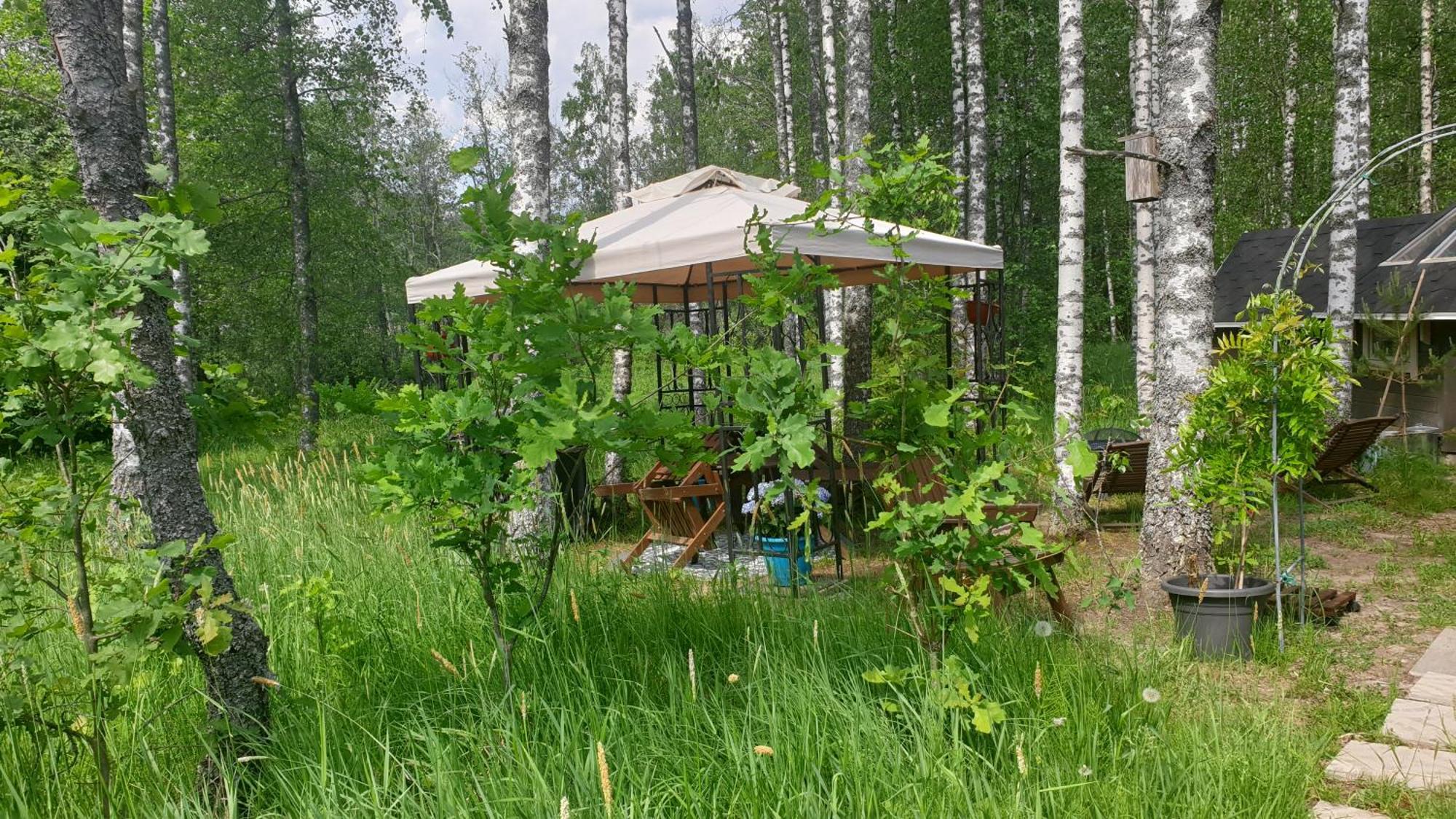 Troll House Eco-cottage, Nuuksio For Nature Lovers, Petfriendly